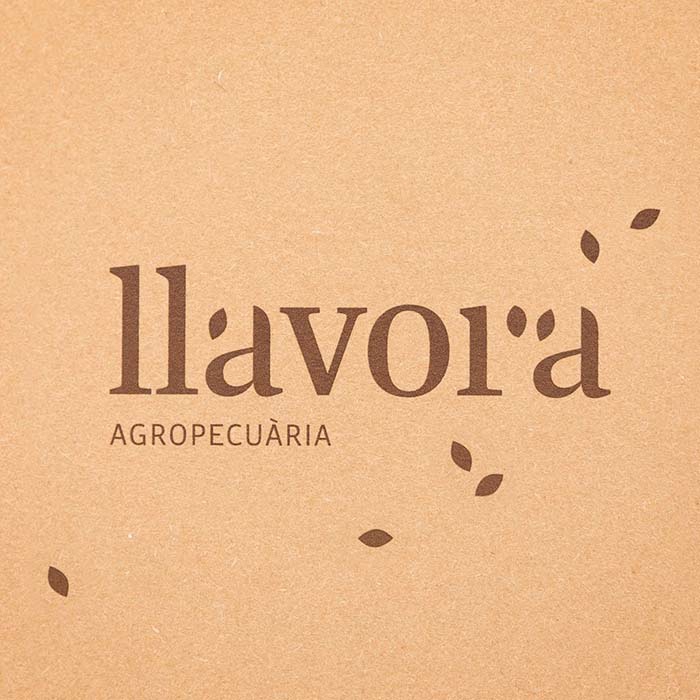 Llavora.01