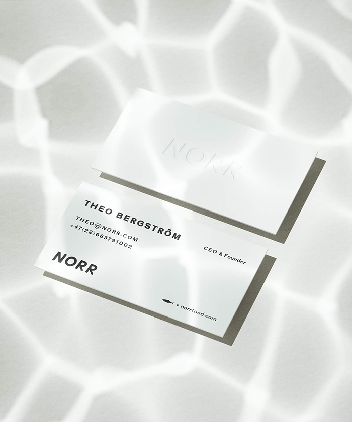 Norr_04